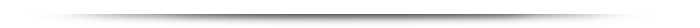 image-294470-divider-bottom.png